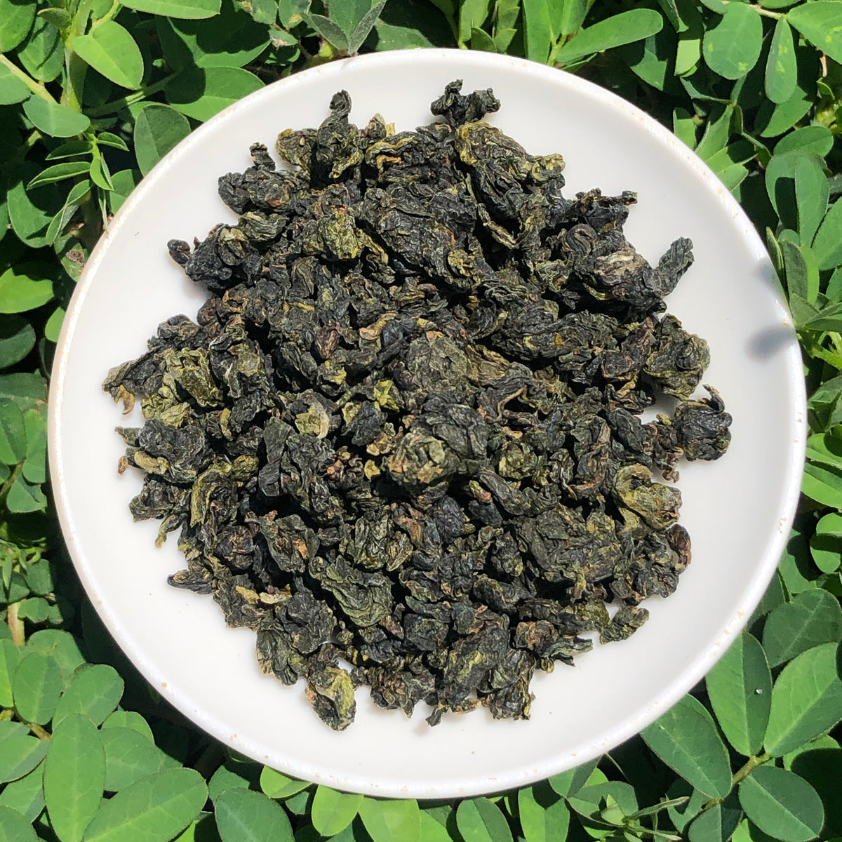 2026 Buttermilk Oolong – Mountain Stream Teas