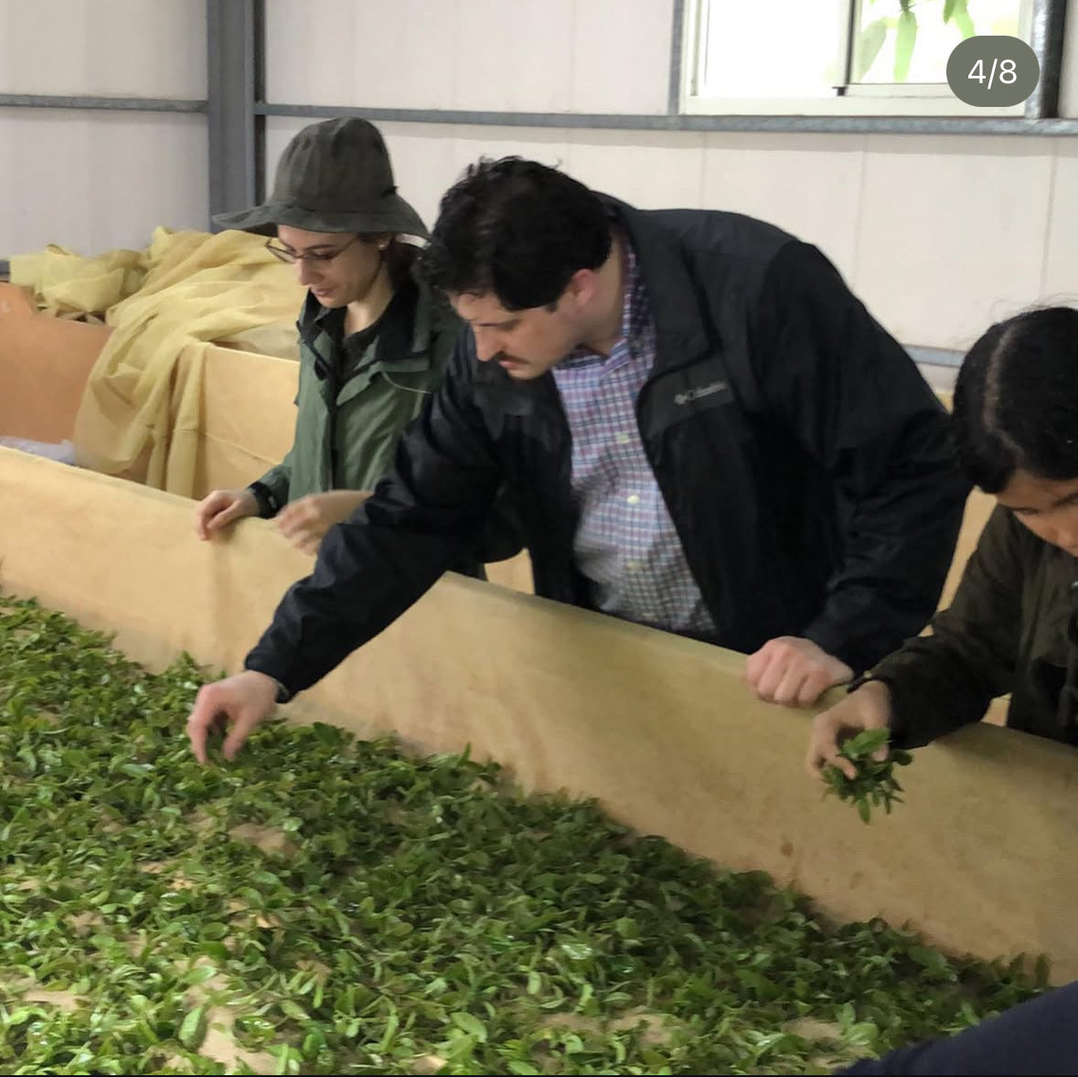 Time For A Mountain Stream Tea Trip