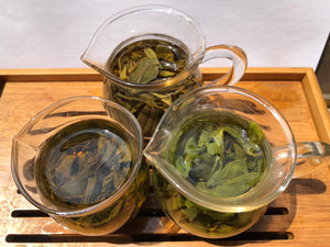 Why do Some Teas Last More Steeps Than Others?