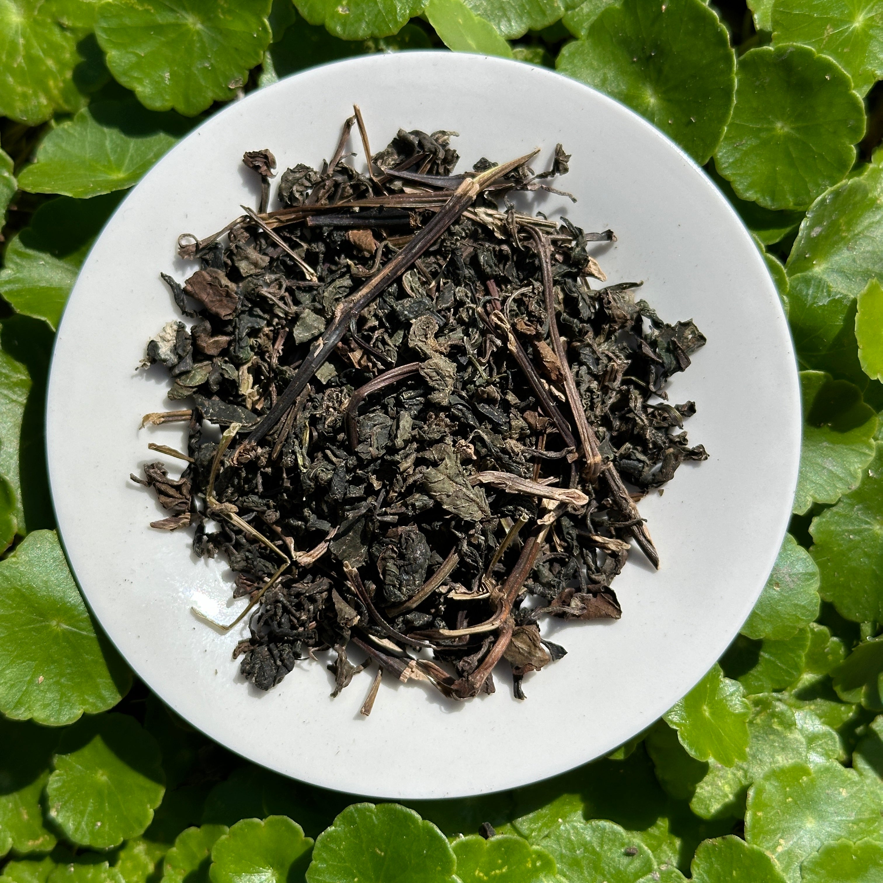 Perilla, Heart Leaf and Mesona Herbal Tea