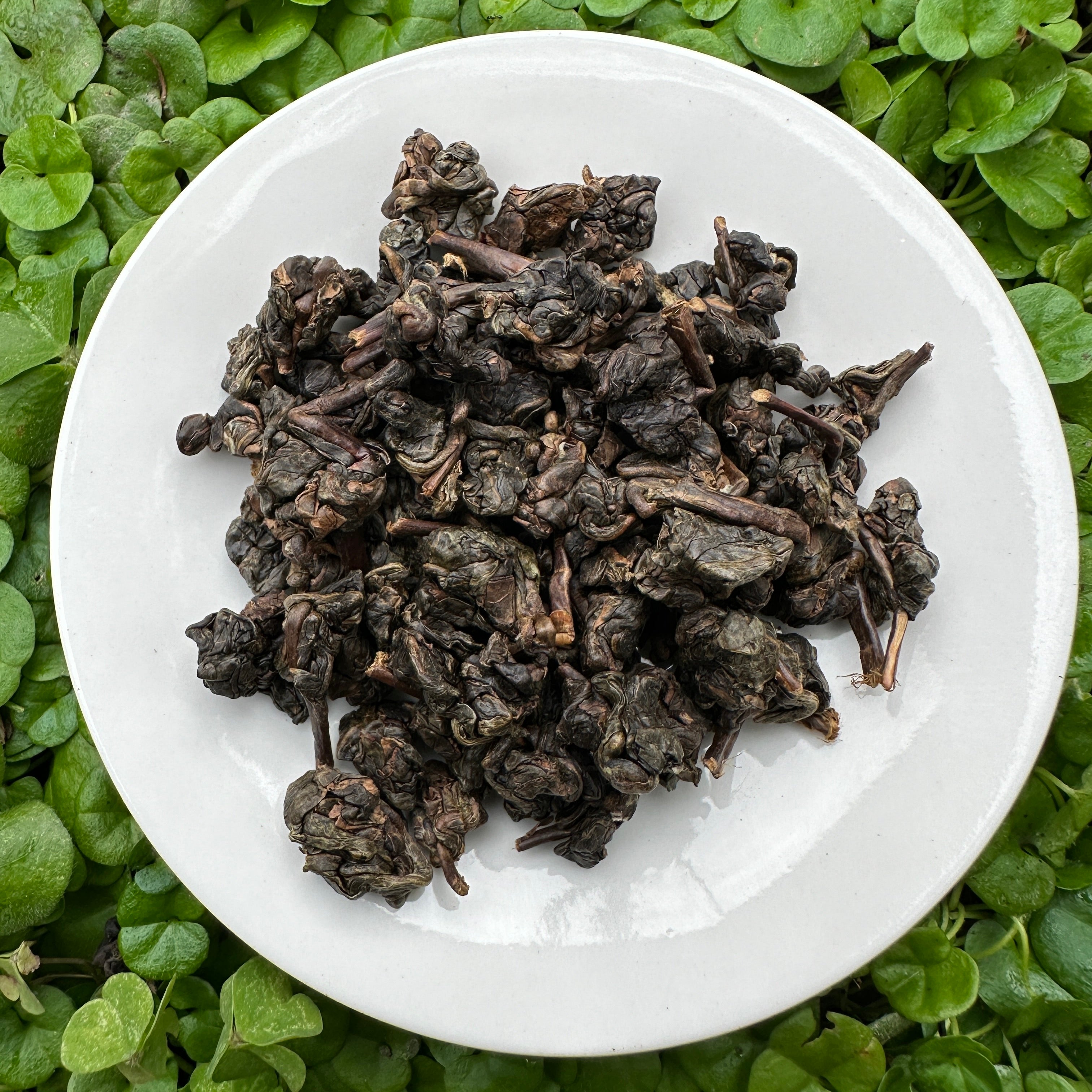 2006 Unroasted Wuyi Oolong