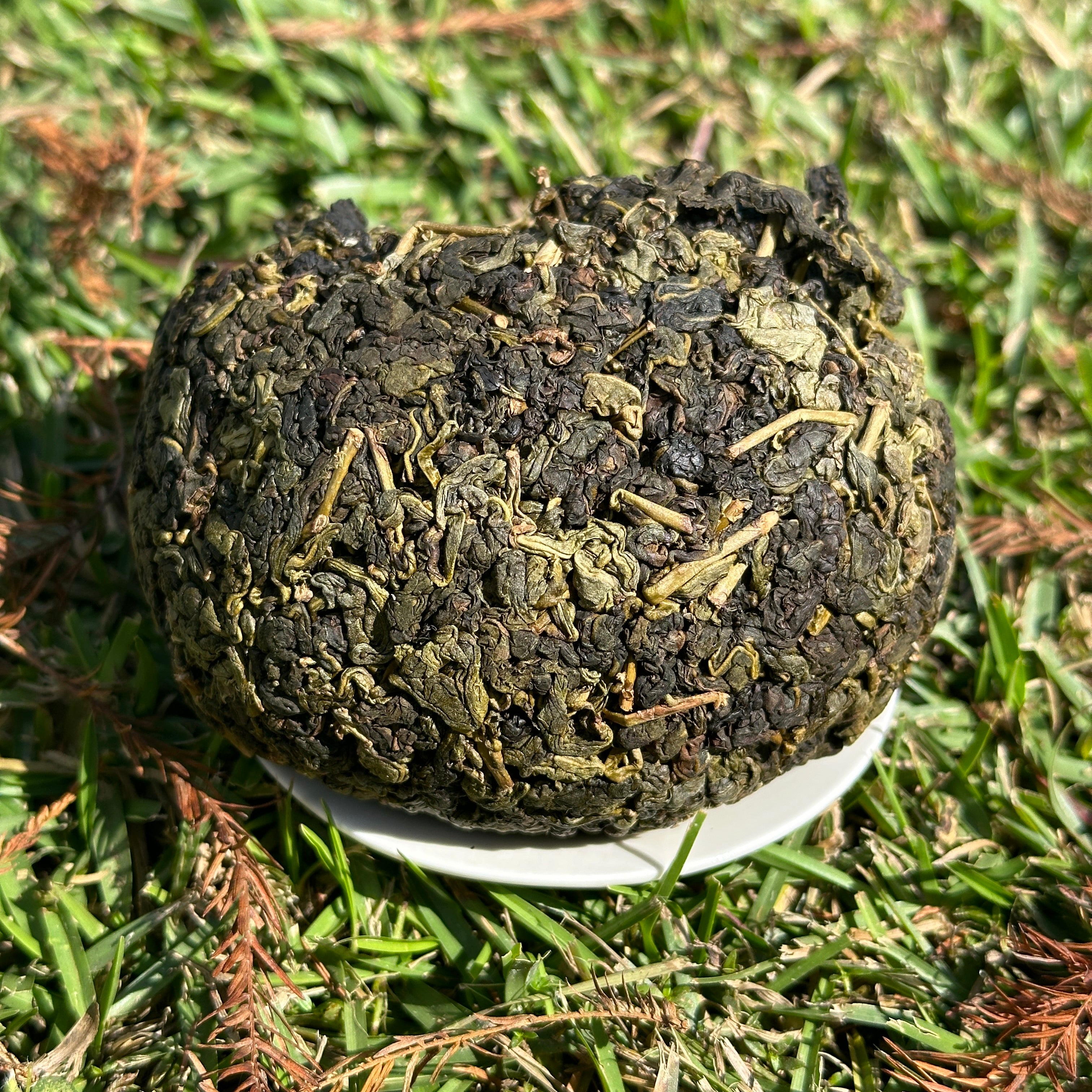 Wild Hybrid -- Alishan Wild Cultivar Tea Balls