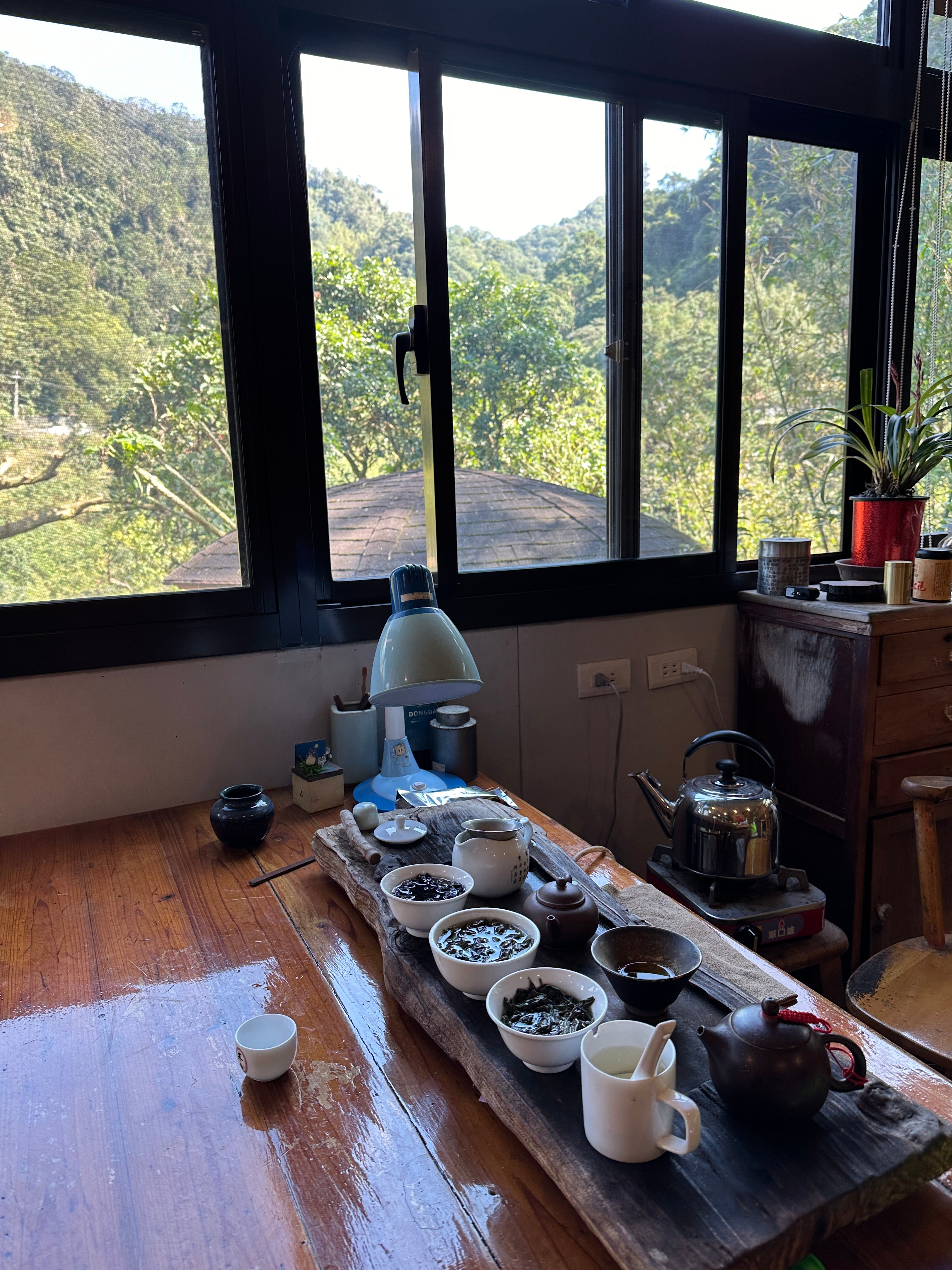 1995 Muzha Tieguanyin