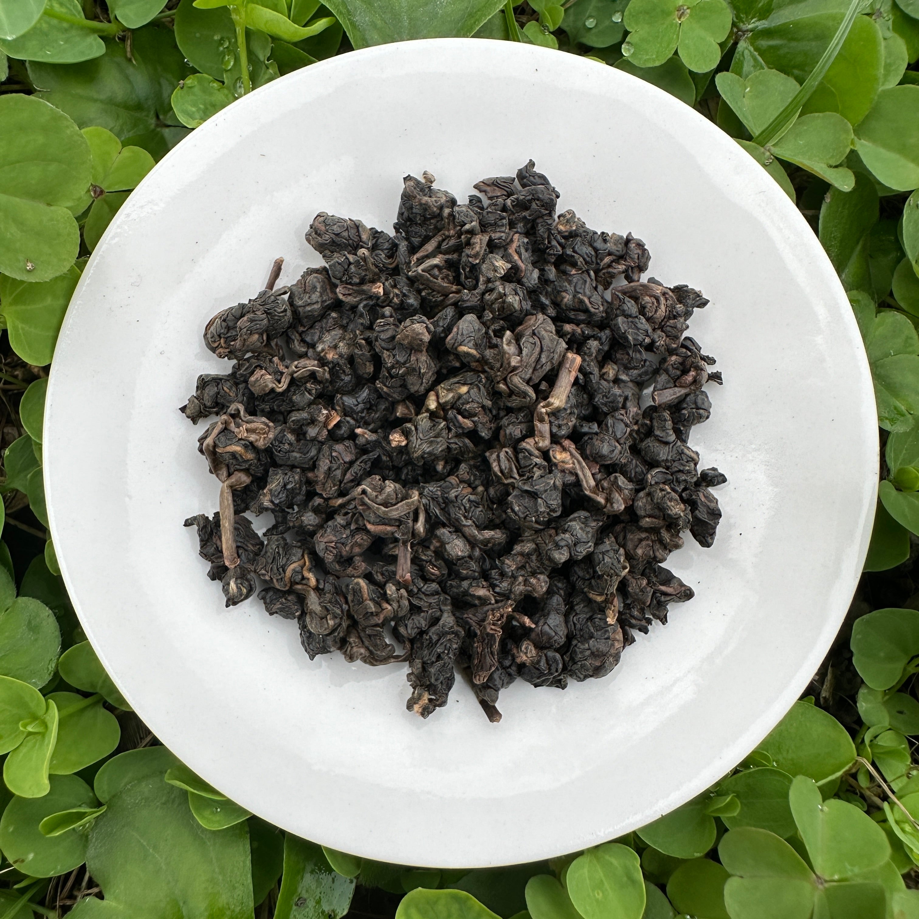 Su San Pian's Roasted Oolong
