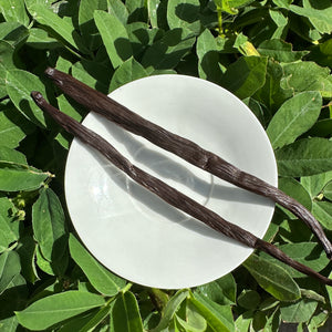 Taiwanese Vanilla