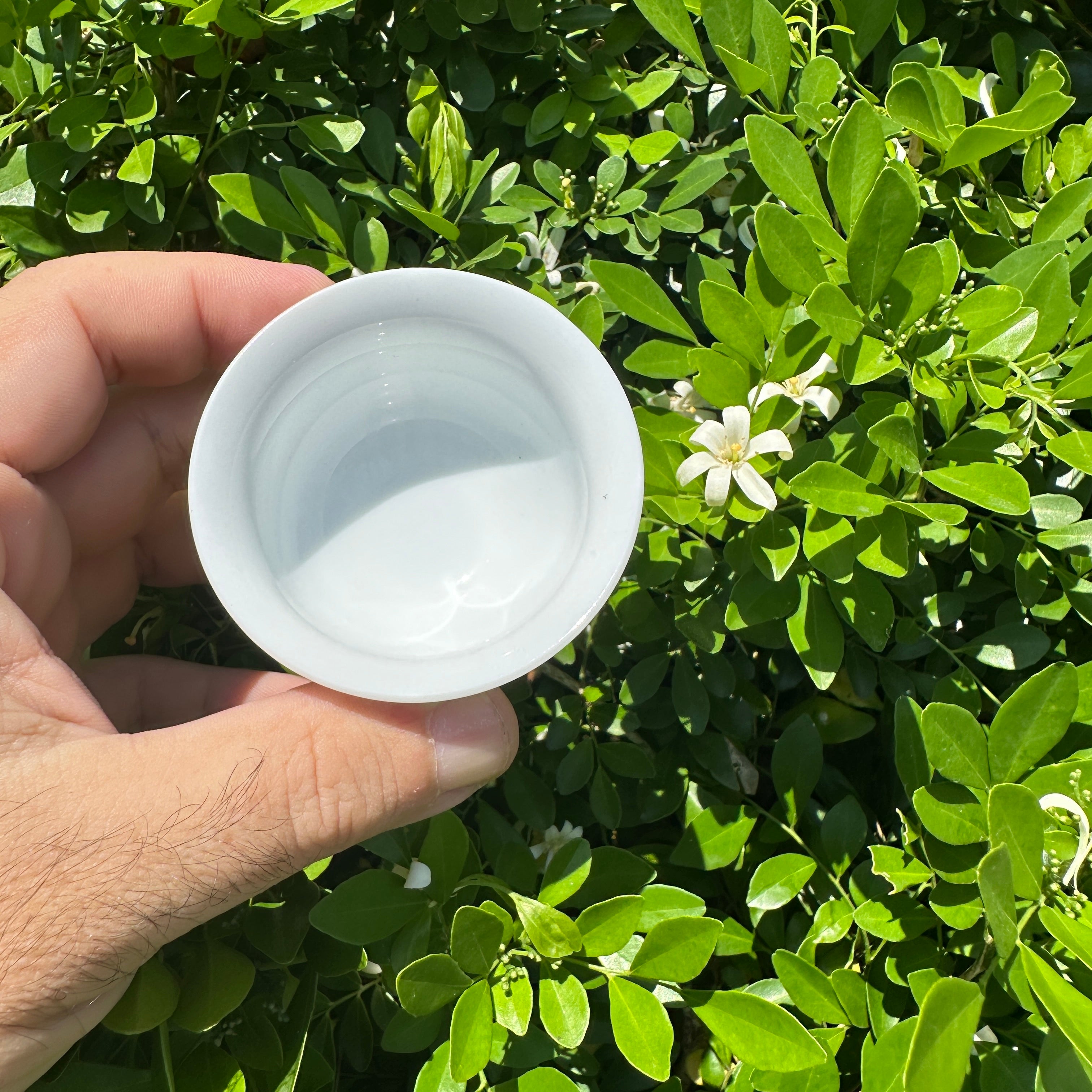 Light Blue-Greenish Tea Cup