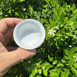 Light Blue-Greenish Tea Cup