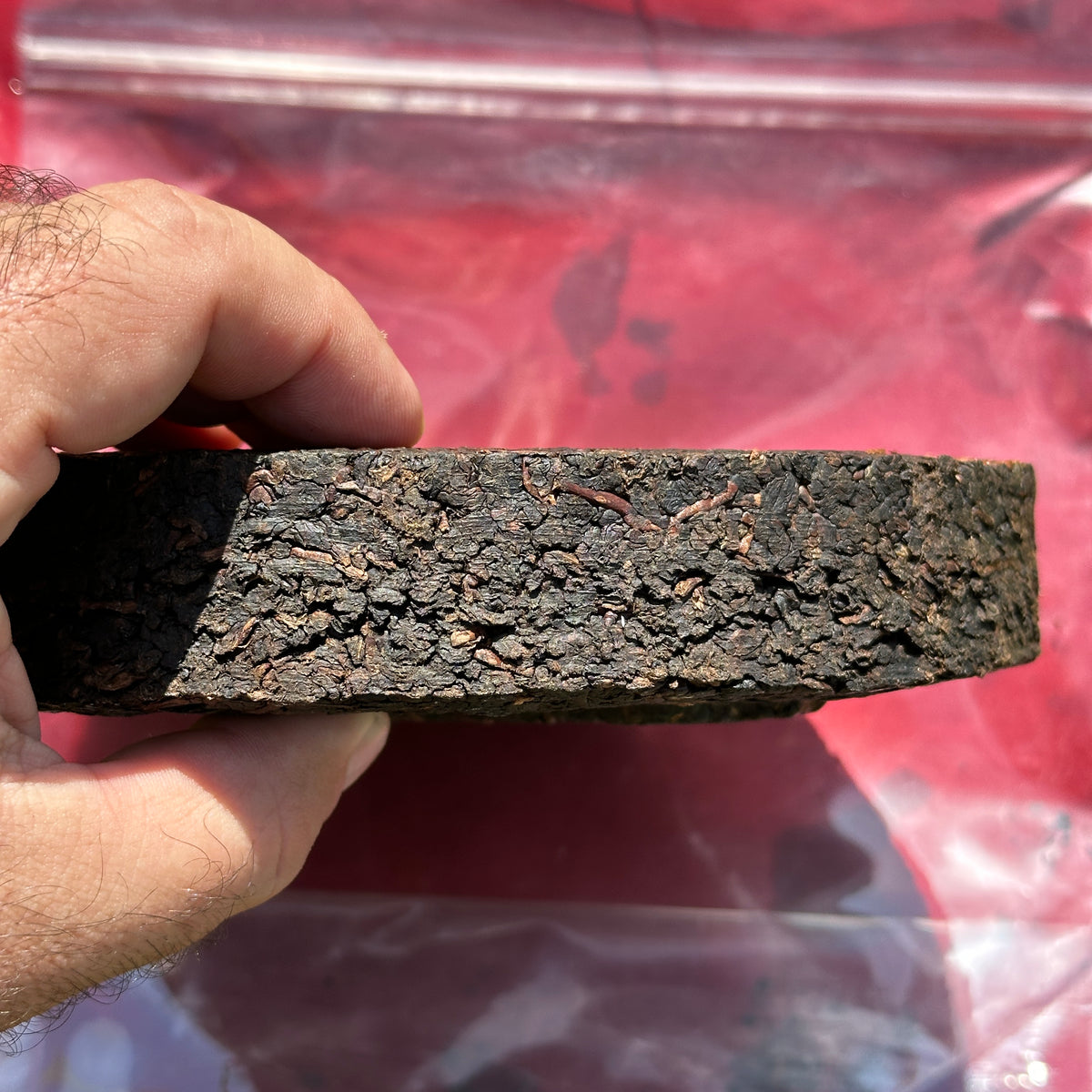 Aged Dongding Tea Cake(2010s) – Mountain Stream Teas