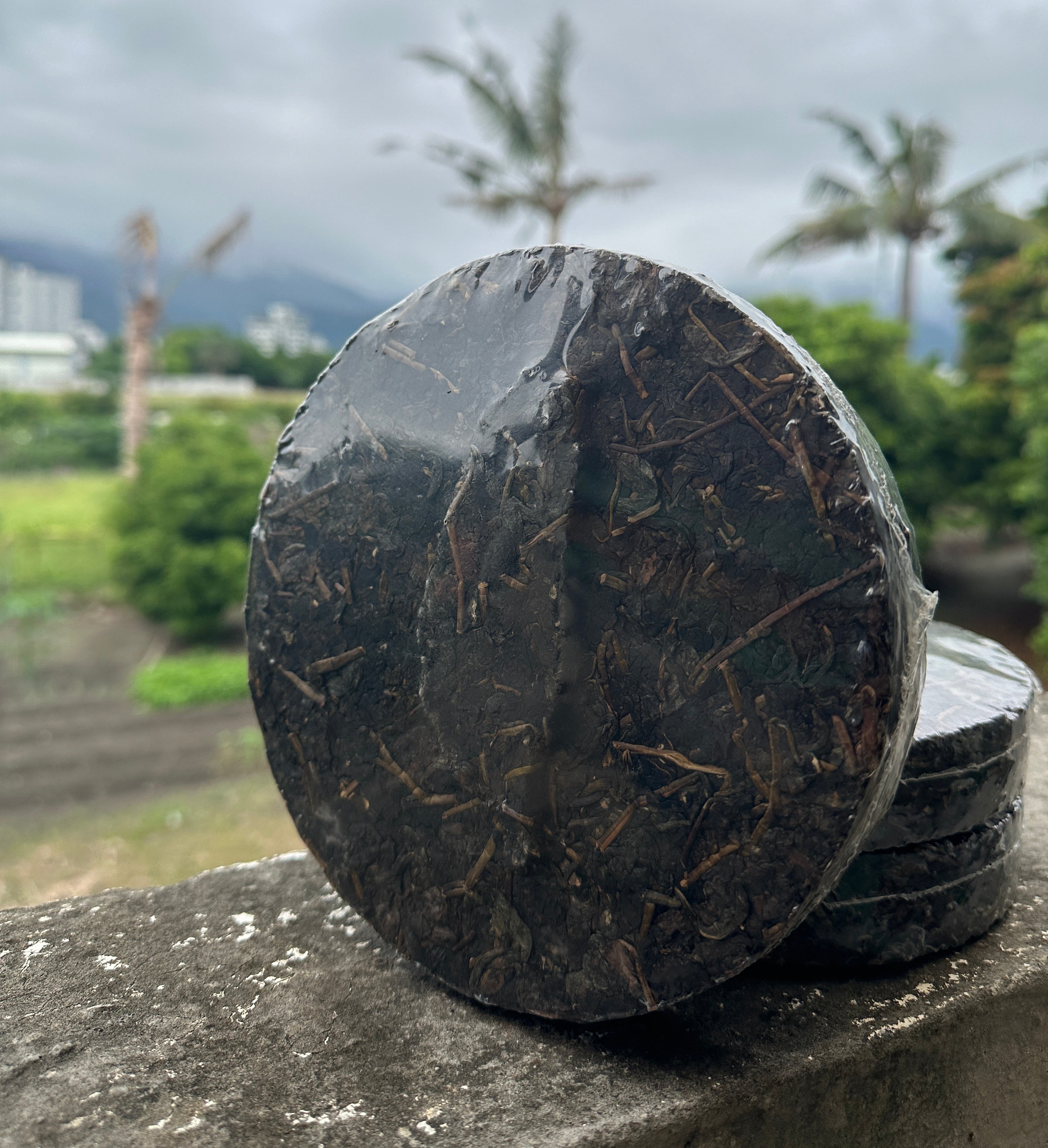 Purple Bud Sheng Tea Cake(2020)