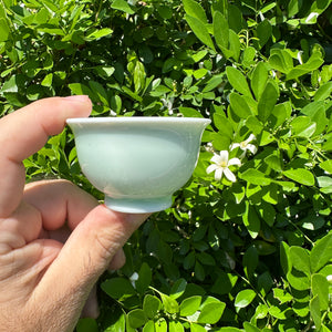 Light Blue-Greenish Tea Cup