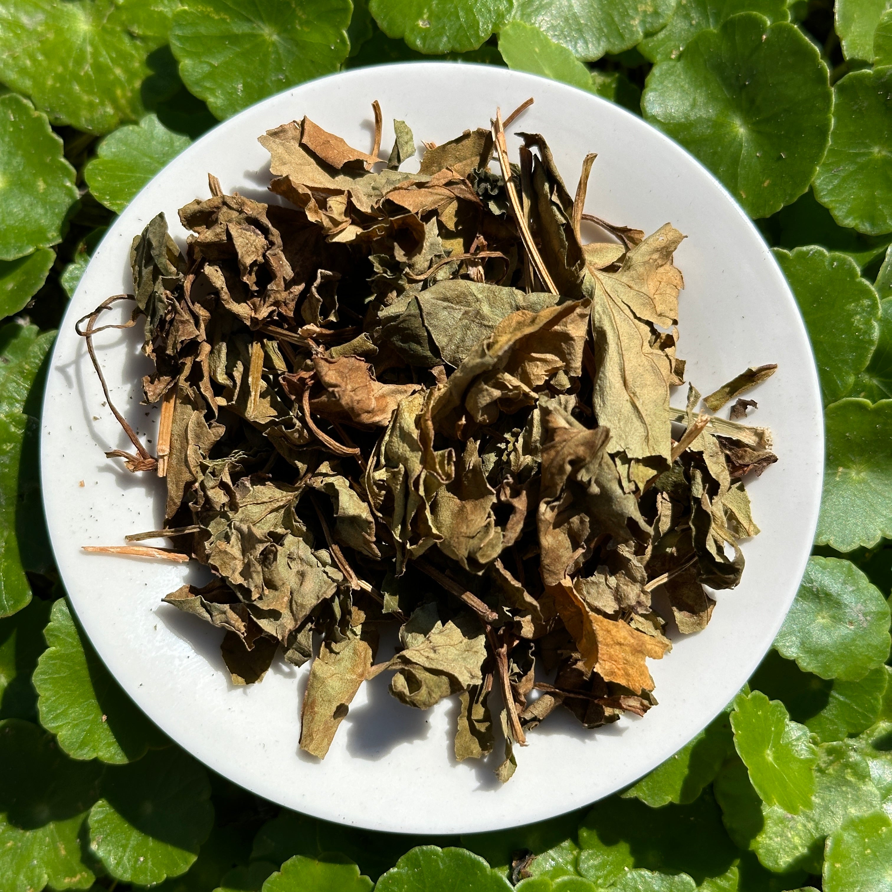 Perilla, Heart Leaf and Mesona Herbal Tea