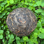 Organic Taiwanese Purple Bud Tuo Cha