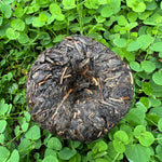 Organic Taiwanese Purple Bud Tuo Cha