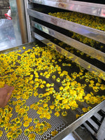 Small Leaf Chrysanthemum Herbal Tea/Tisane