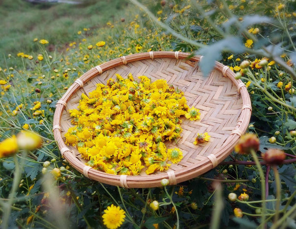 Small Leaf Chrysanthemum Herbal Tea/Tisane Stream Teas
