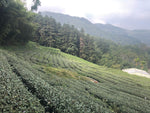 [WHOLESALE] Alishan GABA Oolong