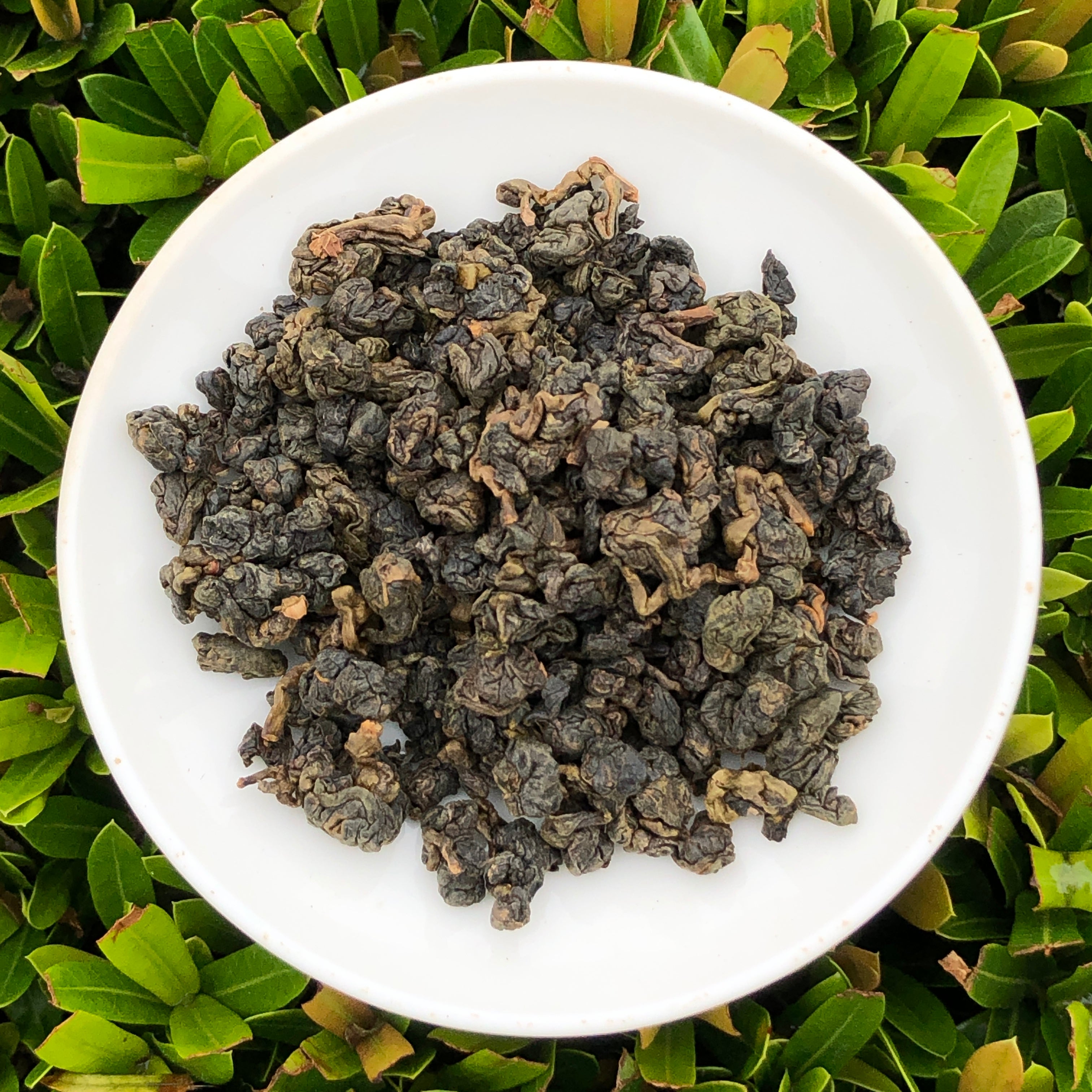 Charcoal Roast 2021 Spring Pear Mountain Oolong