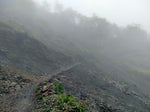 Dark Mountain -- Taiwanese Heicha Old Growth Tea Cake