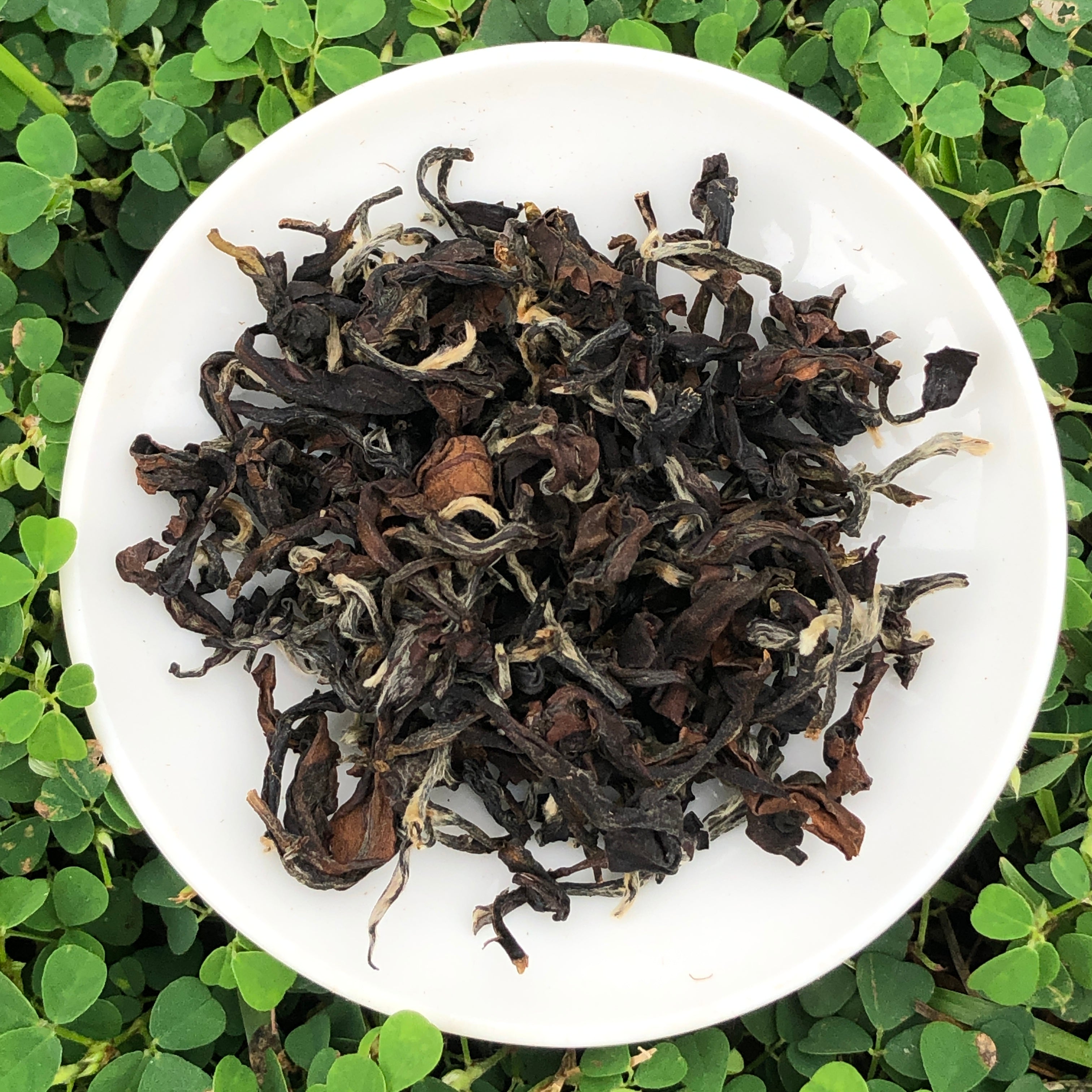 Competition Grade Eastern Beauty Oolong