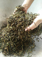Mountain Stream Old Growth Taiwanese Sheng(2022 Pick In Stock)