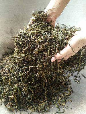 Mountain Stream Old Growth Taiwanese Sheng(2022 Pick In Stock)