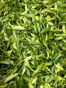 Snow Mist Teas -- Green (Limited amount)